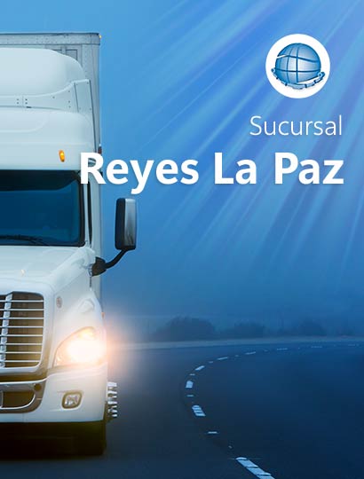 Muelles Universal Sucursal Reyes La Paz